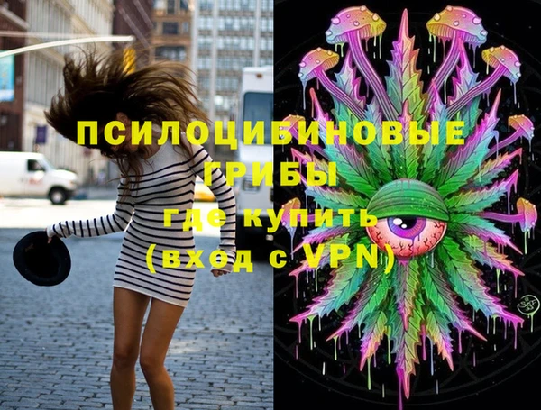 дмт Лабытнанги