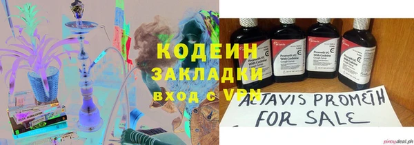 дмт Лабытнанги