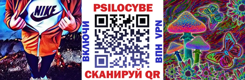 Галлюциногенные грибы Psilocybine cubensis  где купить наркоту  Петропавловск-Камчатский 